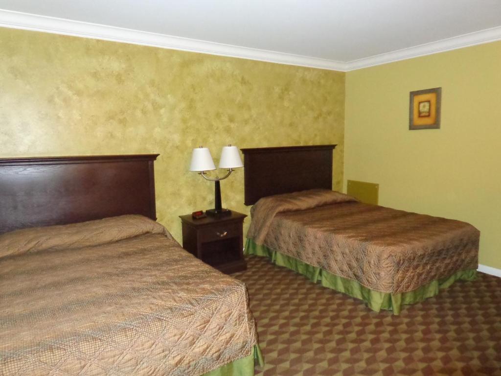 Spartan Motel - Rochester Zimmer foto